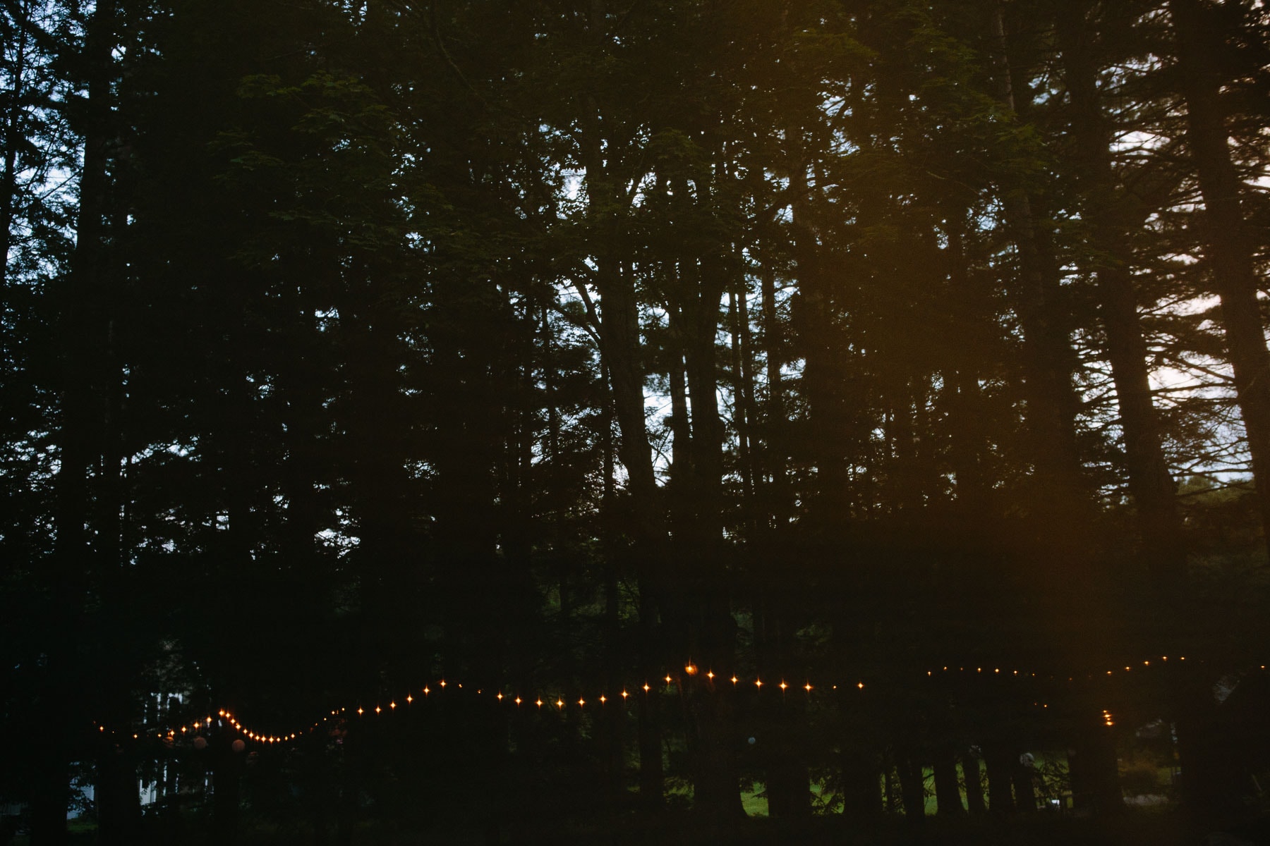 bistro lights illuminate a path in the woods | Kelly Benvenuto Photography