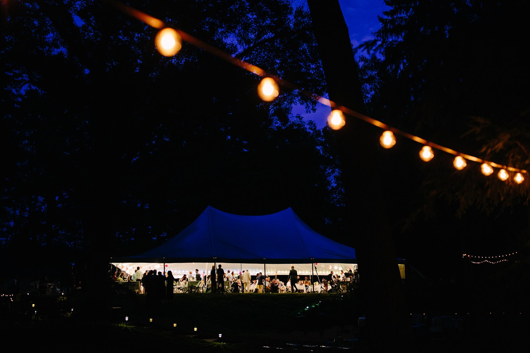 tent and bistro lights at blue hour at a backyard wedding | Kelly Benvenuto Photography