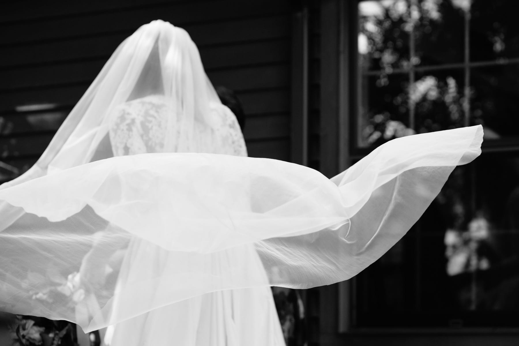 bride's veil in black and white